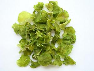 dehydrated lettuce